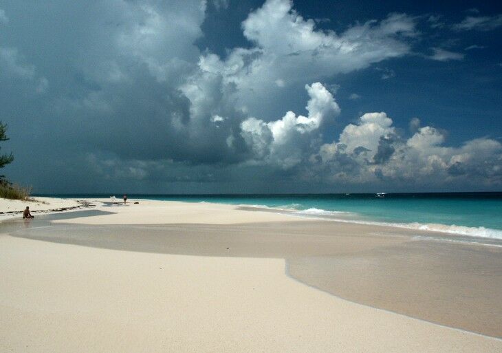 Click to See Next Image